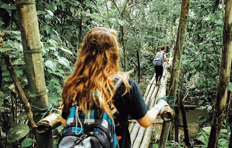 Group On Jungle Trip