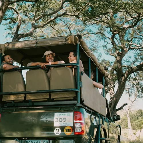 Travellers riding in an open safari vehicle during a game drive - Contiki South Africa & Botswana Safari Tour