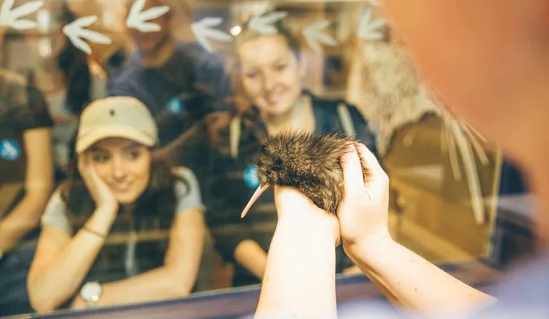 A man holding and presenting a young bird to visitors