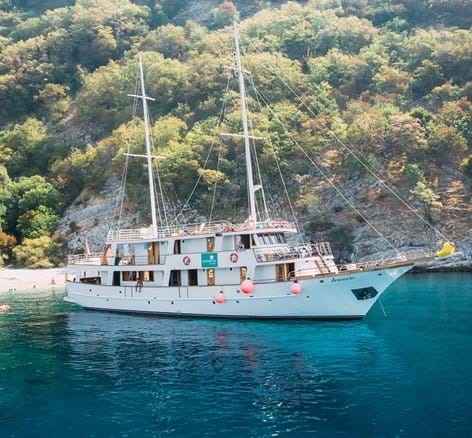 Boat sailing on the water with the forest view