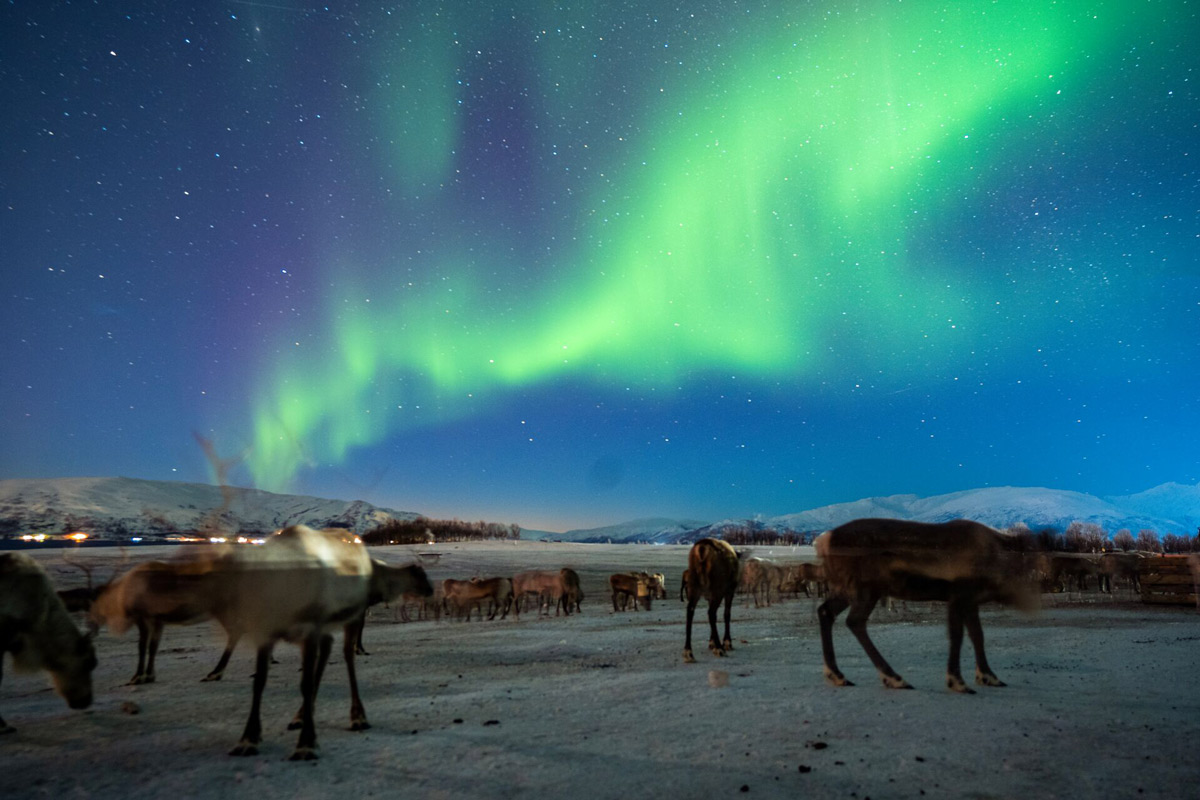 Northern Lights At Night