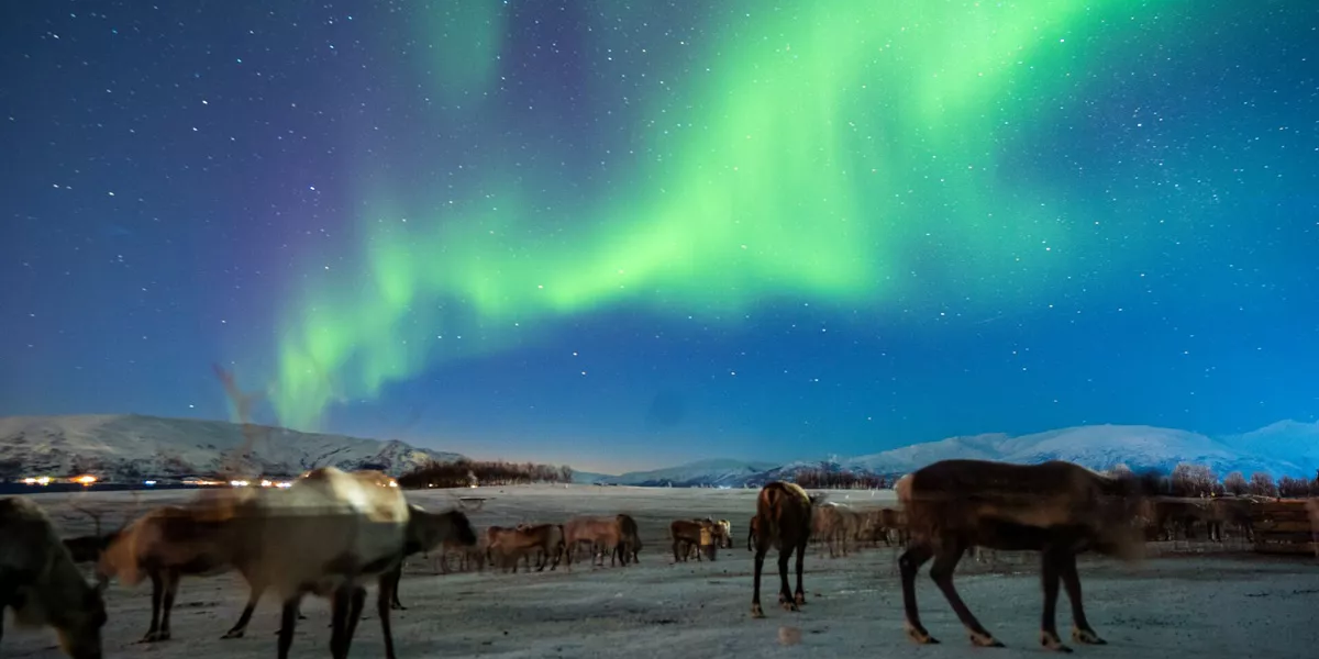 Northern Lights At Night