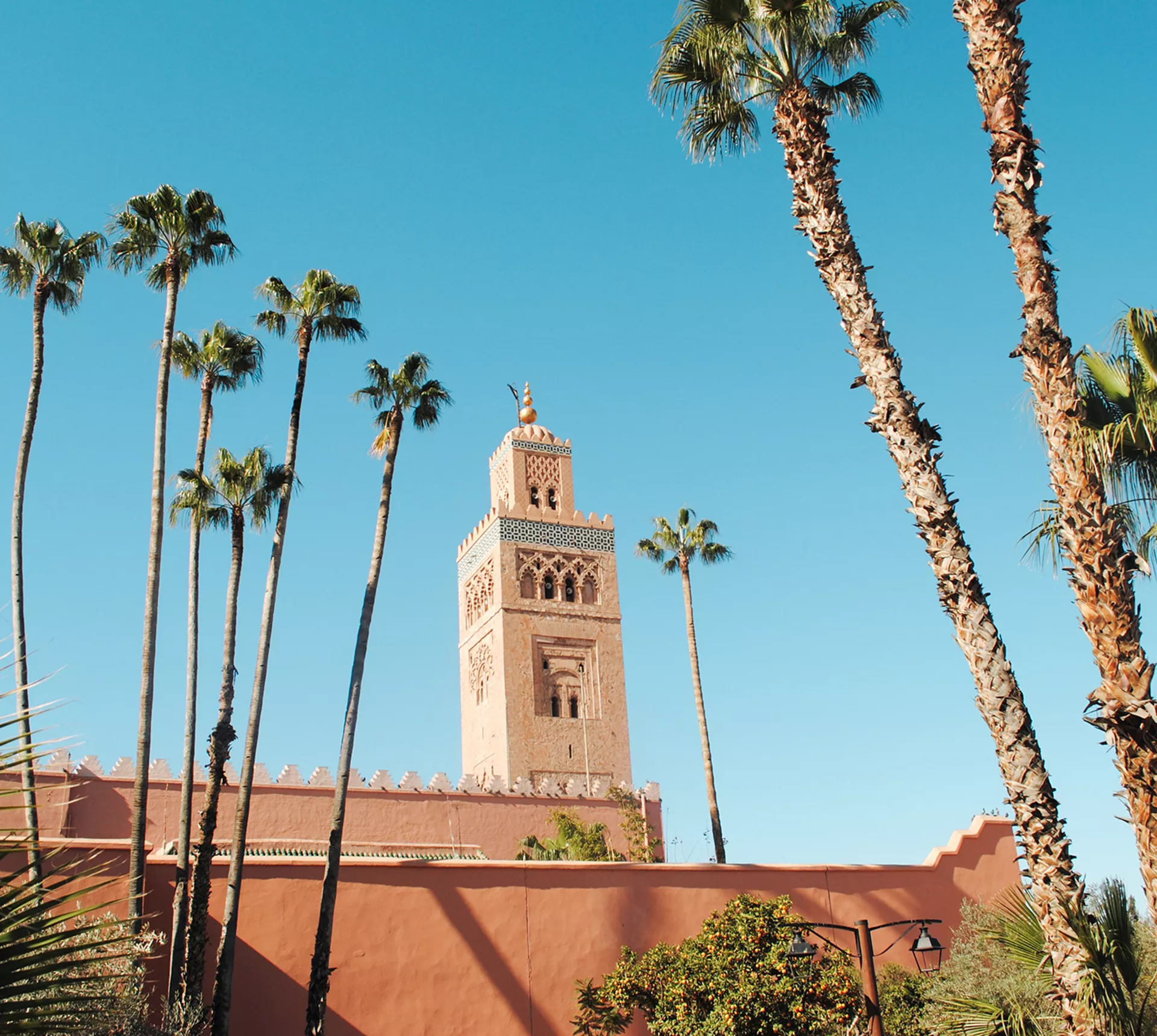 Best of Morocco Trip