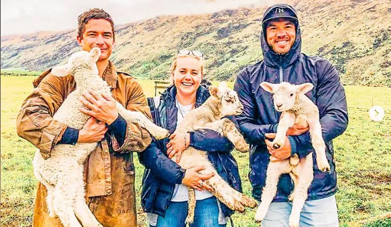 Smiling people holding sheep in their hands
