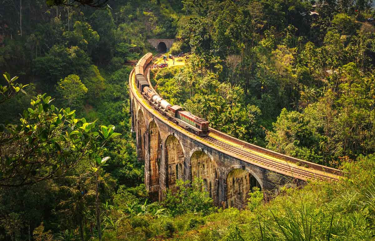 Train Driving Through Jungle In Sri Lanka