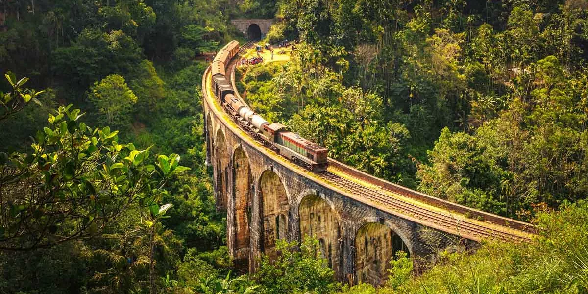 Train Driving Through Jungle In Sri Lanka
