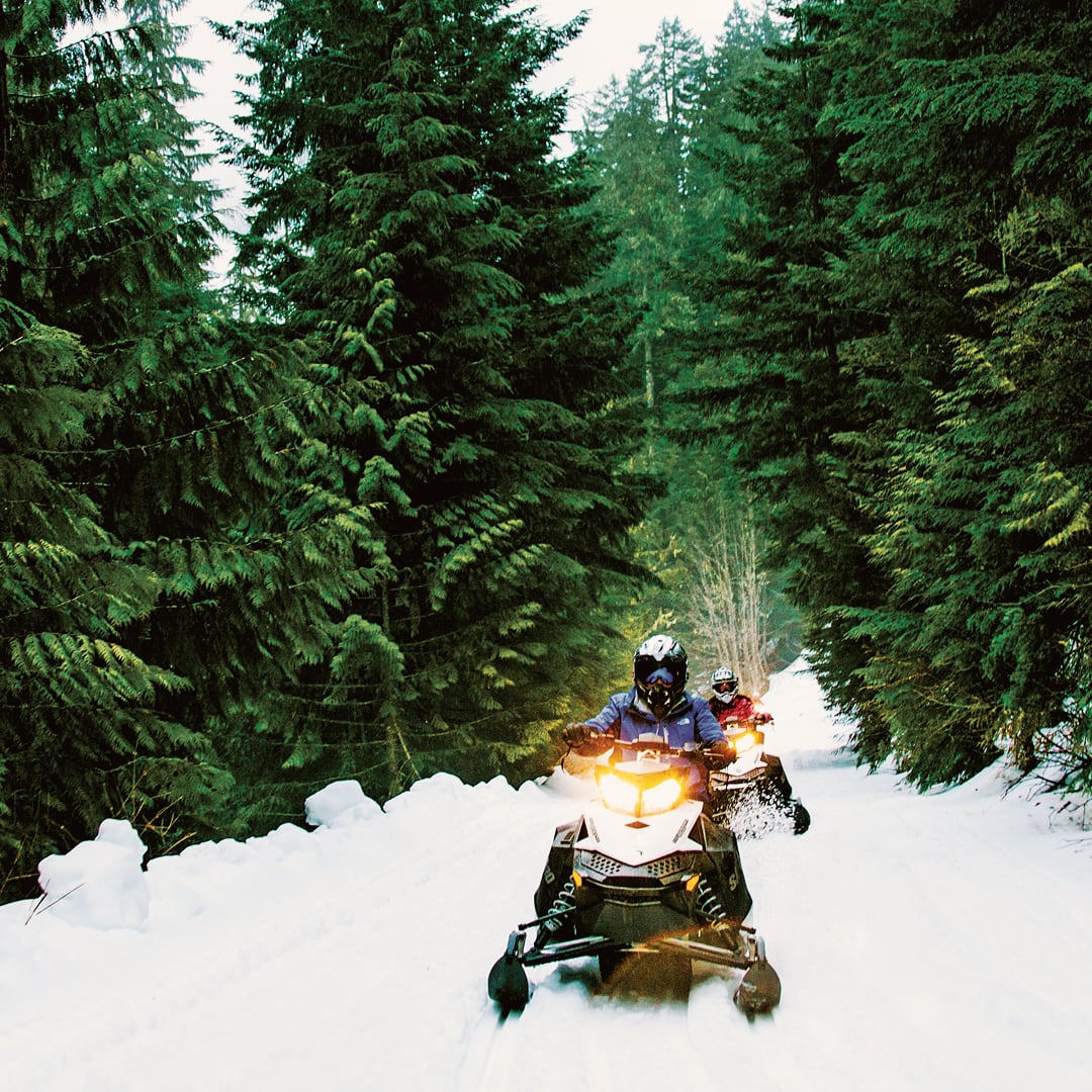 Snowmobile Ride Through Forest Whistler Canada