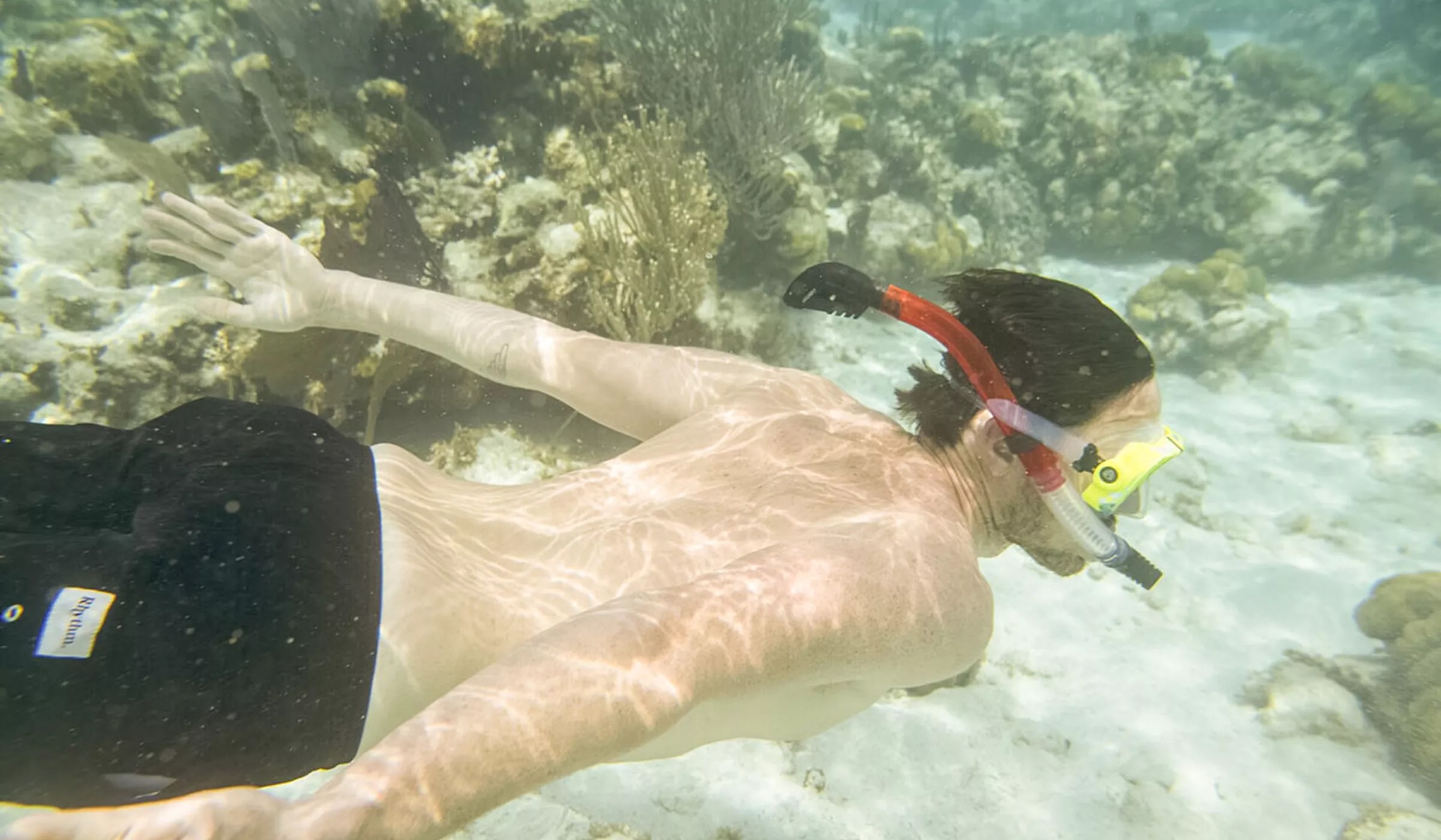 Man diving in the sea.