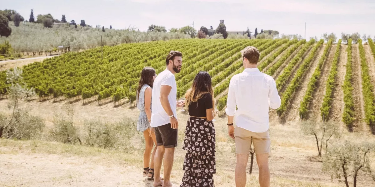 Tour The Vineyards In Tuscany With Contiki Min