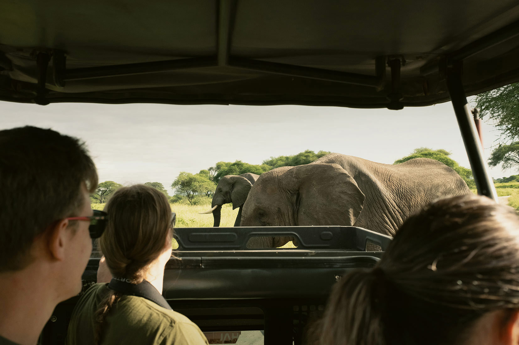 Kenya and Tanzania Adventure Trip