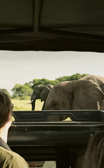 Kenya and Tanzania Adventure Trip