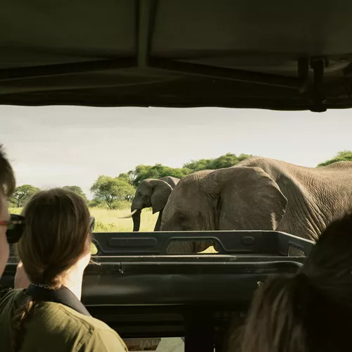 Kenya and Tanzania Adventure Trip