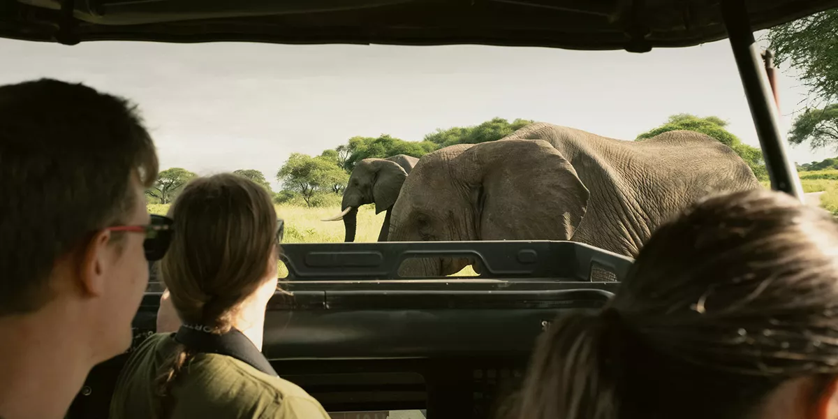 Kenya and Tanzania Adventure Trip