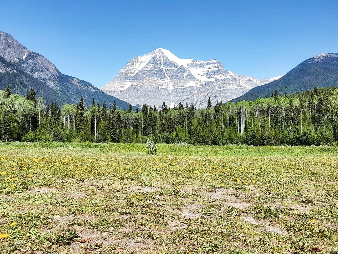 Marvel at Mount Robson