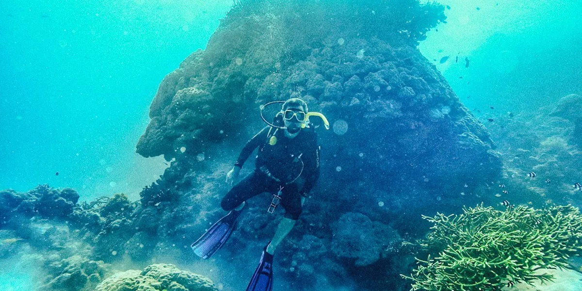 Great Barrier Reef Explorer: Learn to Dive Trip