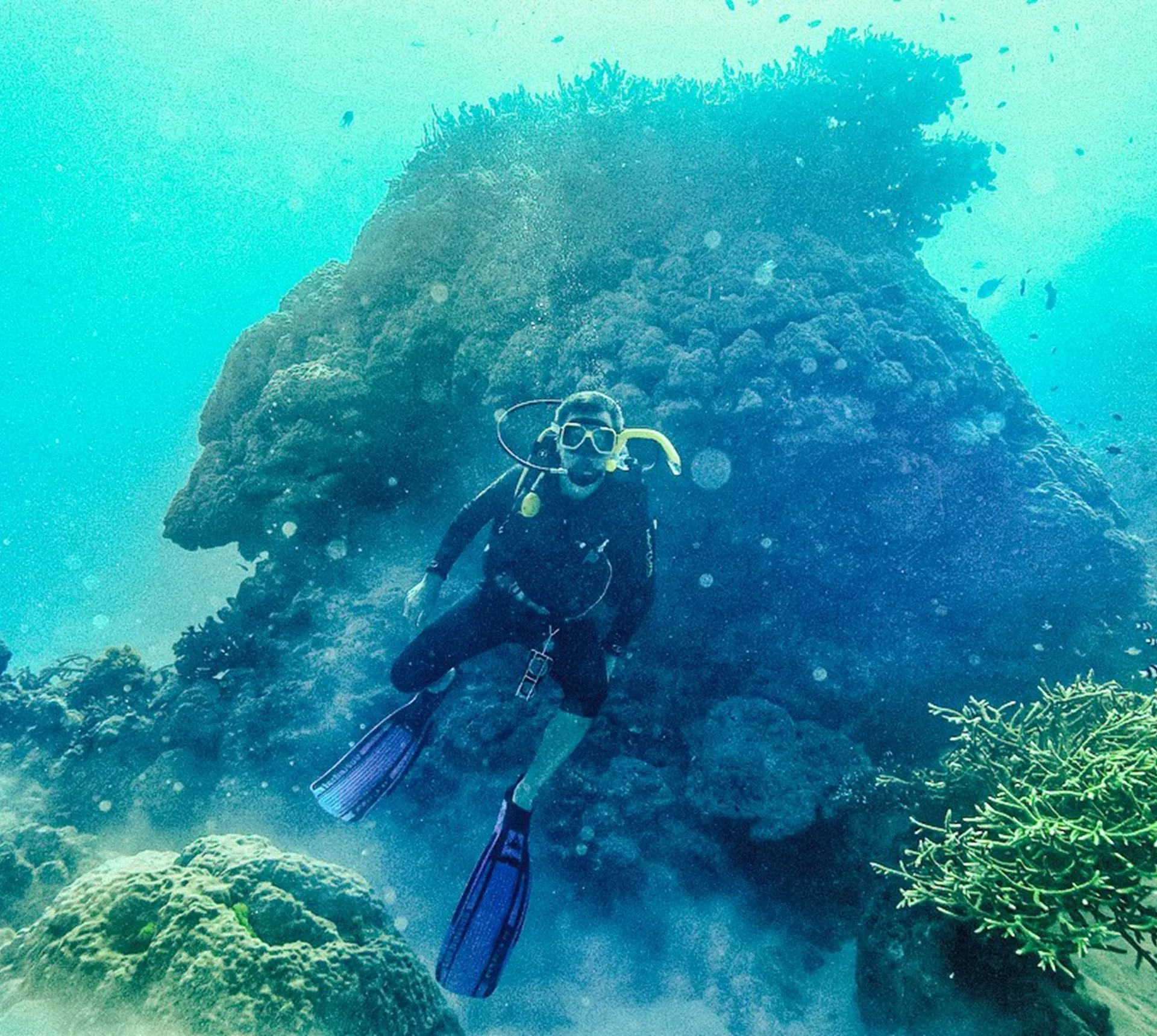 Great Barrier Reef Explorer: Learn to Dive Trip