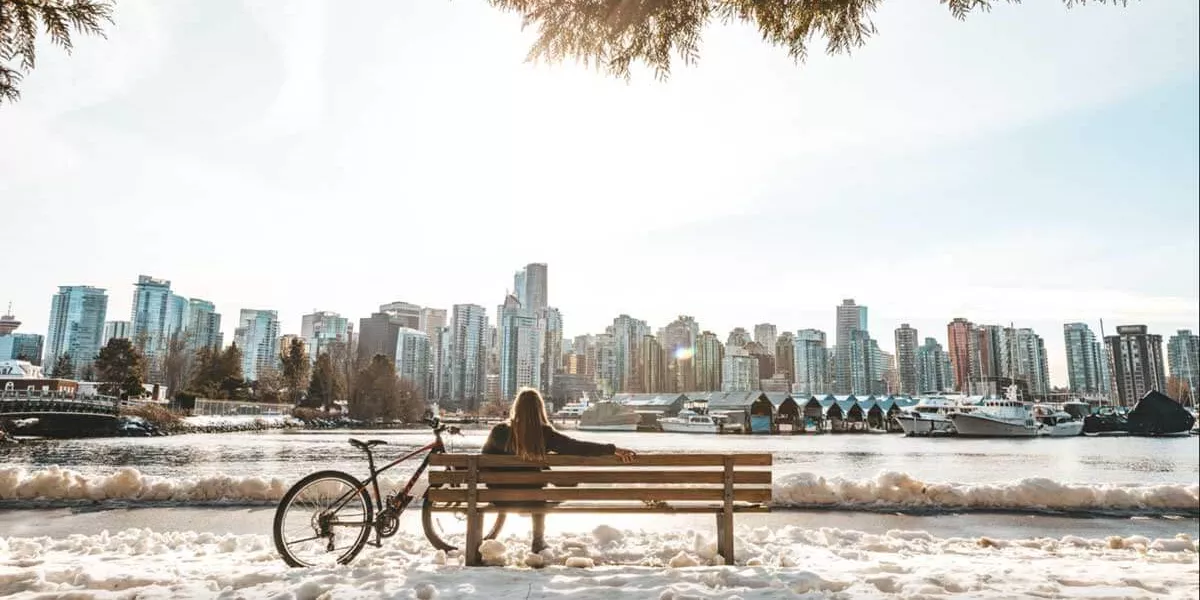 Lone Person Sitting On Bench Vancouver Canada