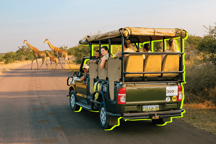Contiki travellers doing a Safari in Africa
