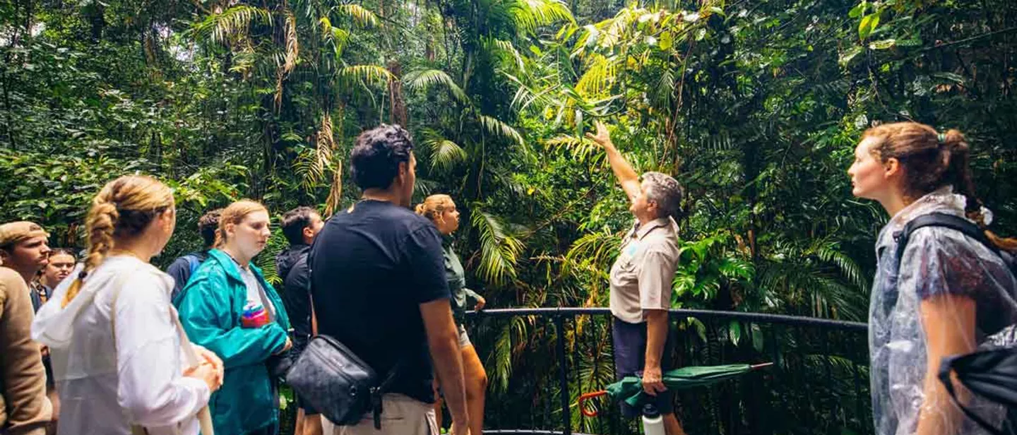 Travelers Visiting Daintree Rainforest