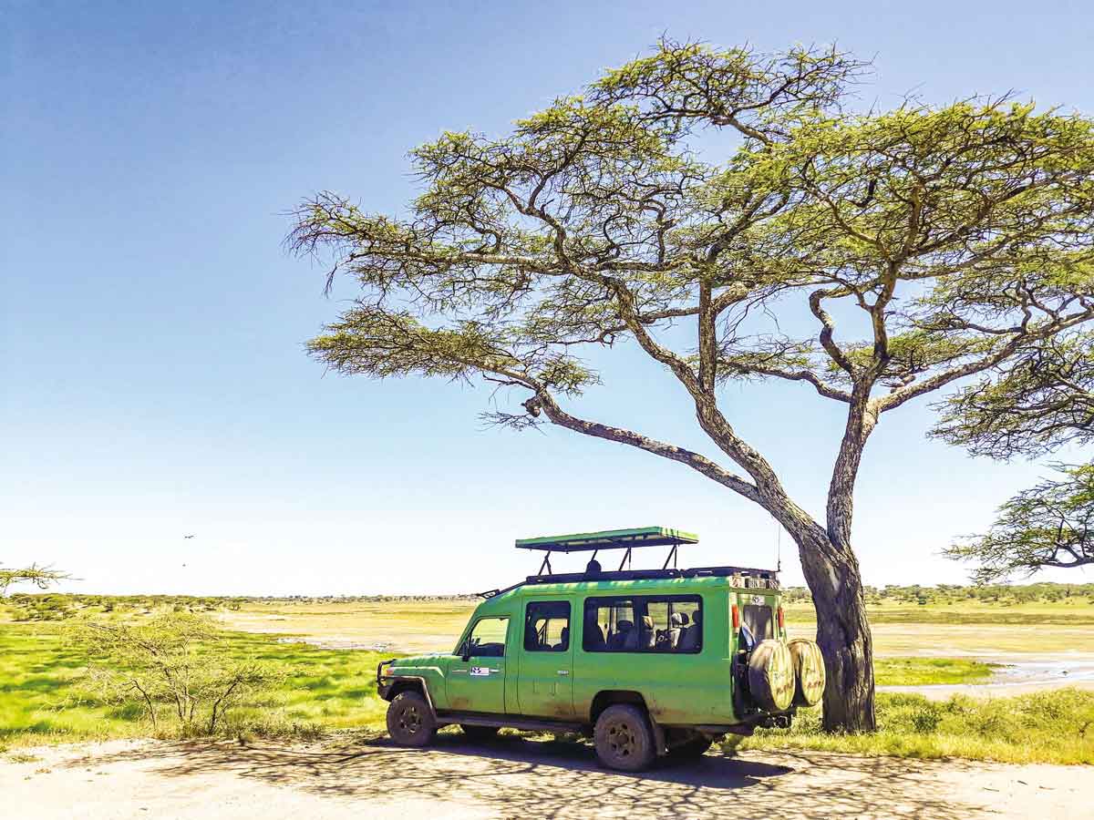 Safari Car Parked Under Tree