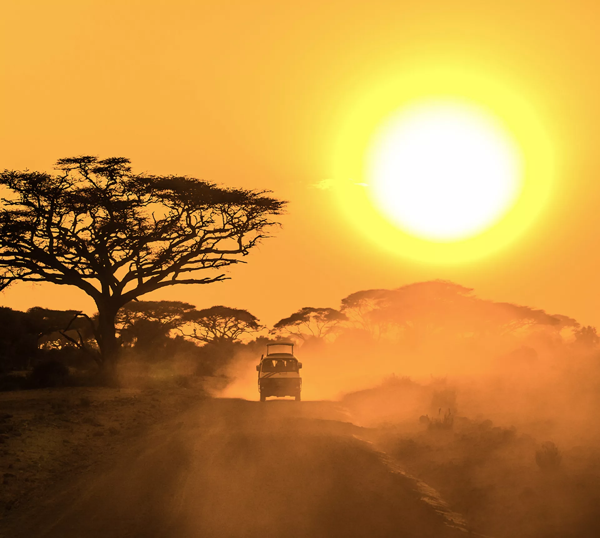 East Africa Safari Trip