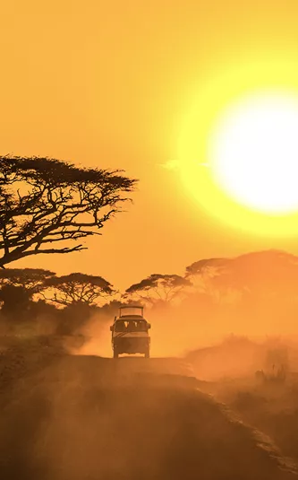 East Africa Safari Trip