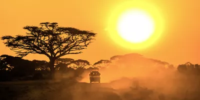 East Africa Safari Trip