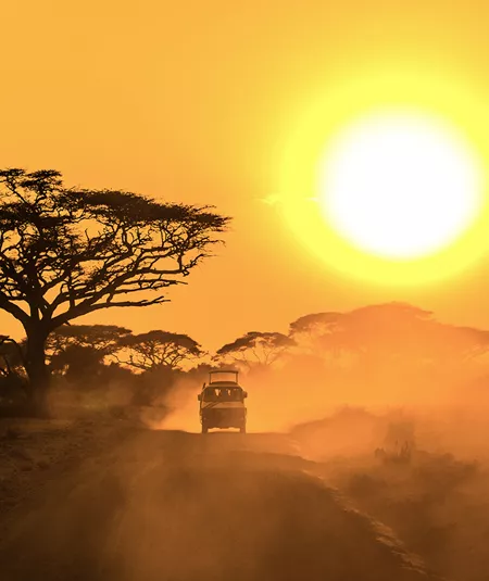 East Africa Safari Trip