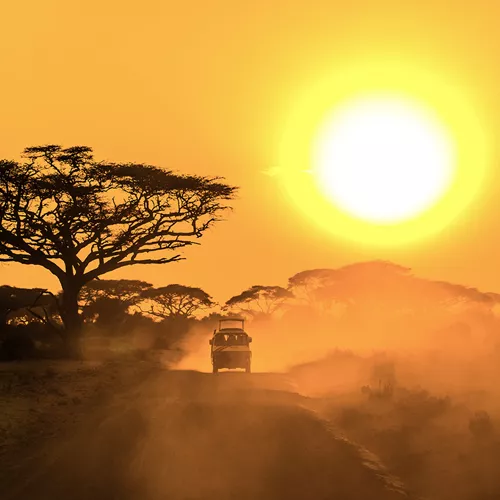 East Africa Safari Trip