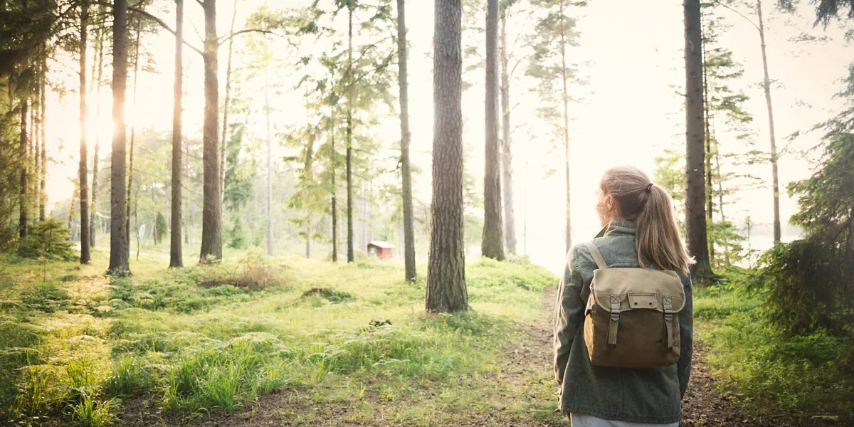 Woman In Woodland Sweden