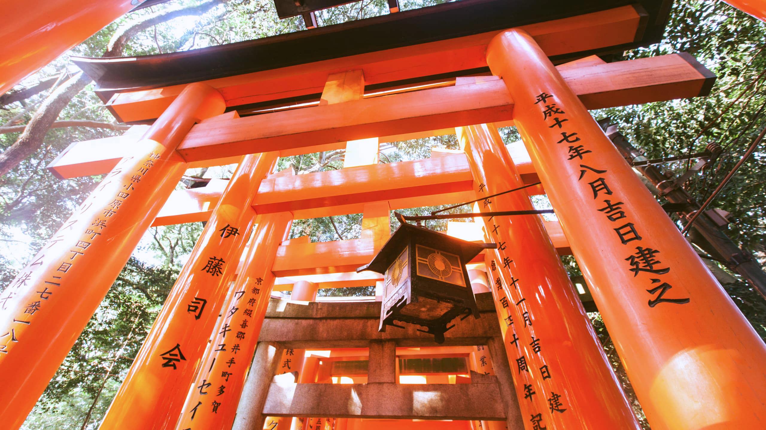 Japan in a Week Trip