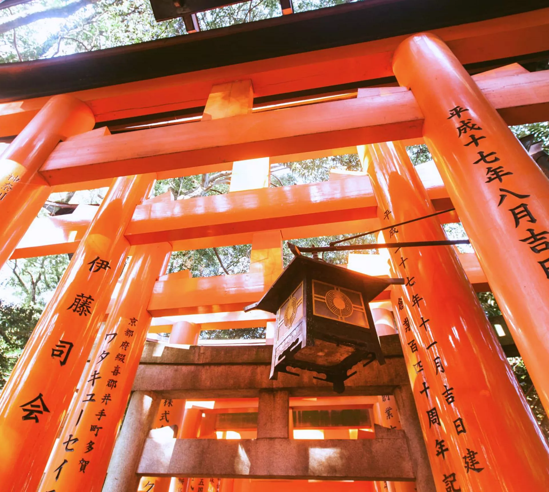 Japan in a Week Trip