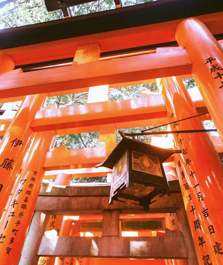 Japan in a Week Trip