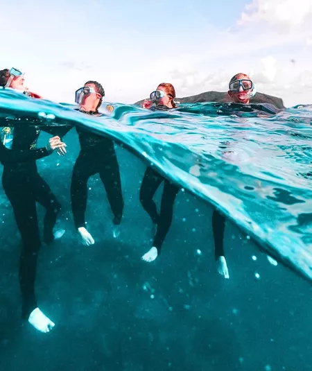 Travellers snorkelling on the Great Barrier Reef in Australia during the Contiki Snorkel & Dive Tour