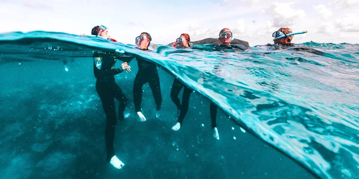 Travellers snorkelling on the Great Barrier Reef in Australia during the Contiki Snorkel & Dive Tour