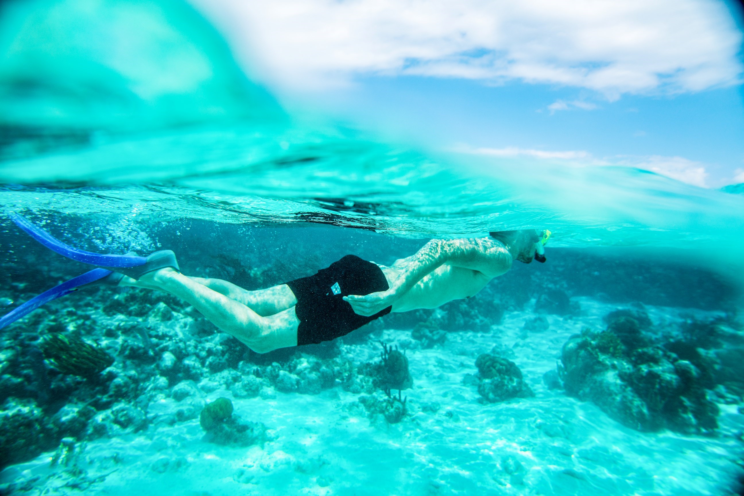 Snorkel Australia’s Best Reefs