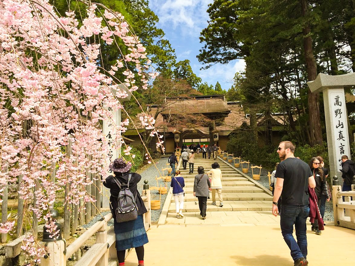Catch some Zen at Kongobuji Temple 