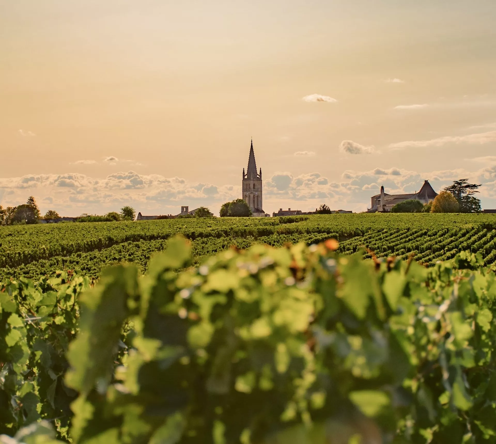 Sunset over vineyards in Bordeaux, France, with rows of grapevines leading to a historic village and church - Bordeaux, Burgundy & Champagne Tour