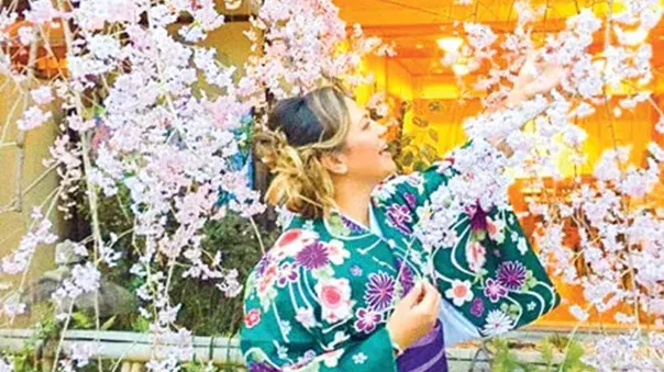 A woman in Japanese clothes picking flowers from a tree