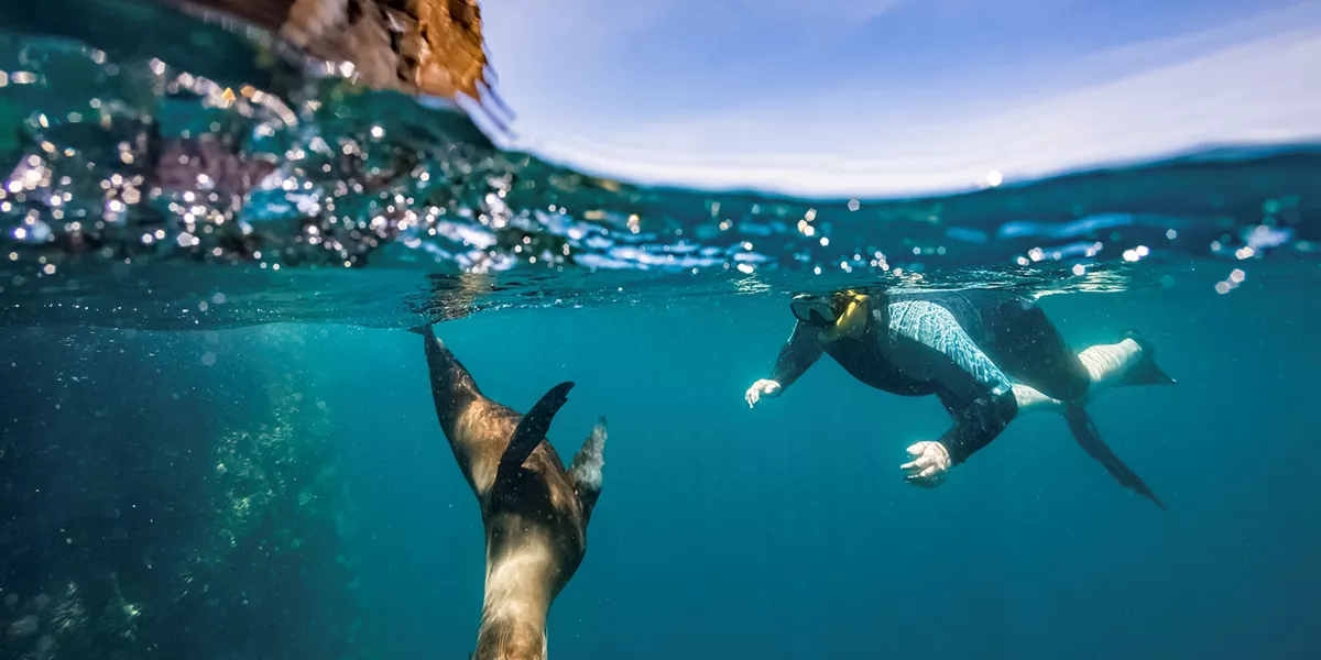 Galapagos Island Hopper Trip