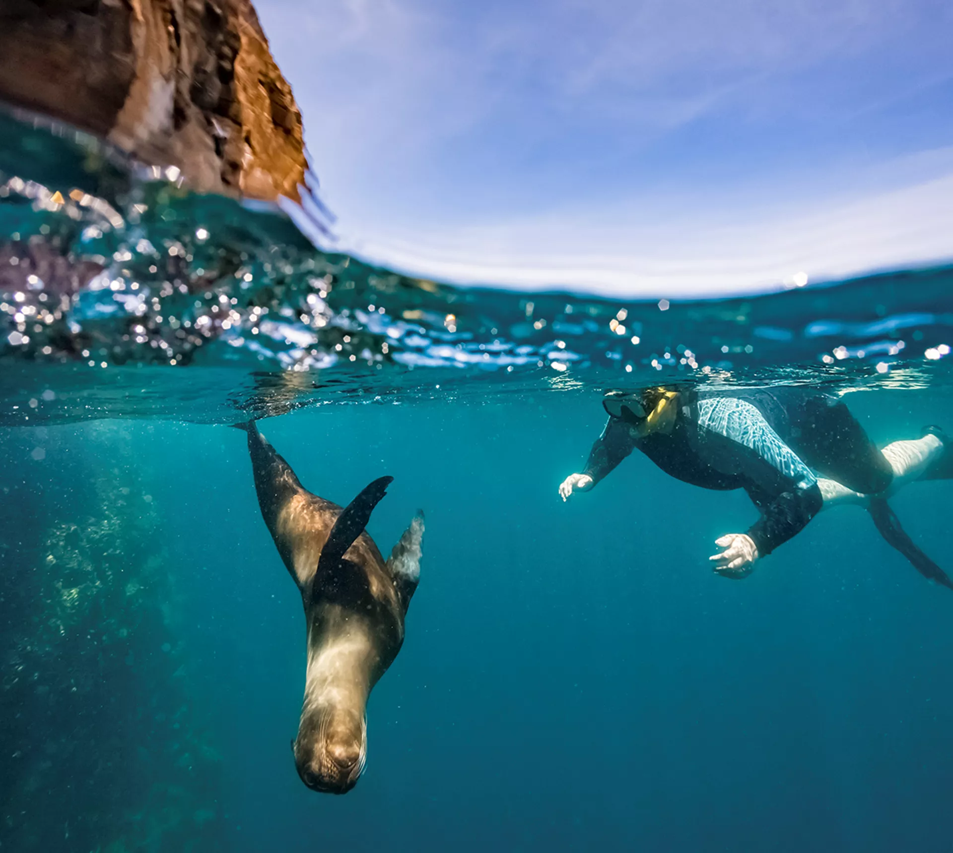 Galapagos Island Hopper Trip