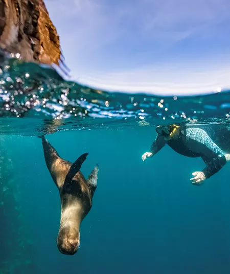 Galapagos Island Hopper Trip