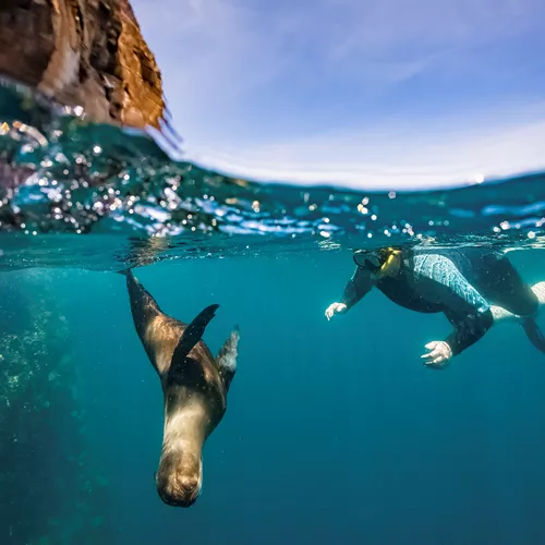 Galapagos Island Hopper Trip
