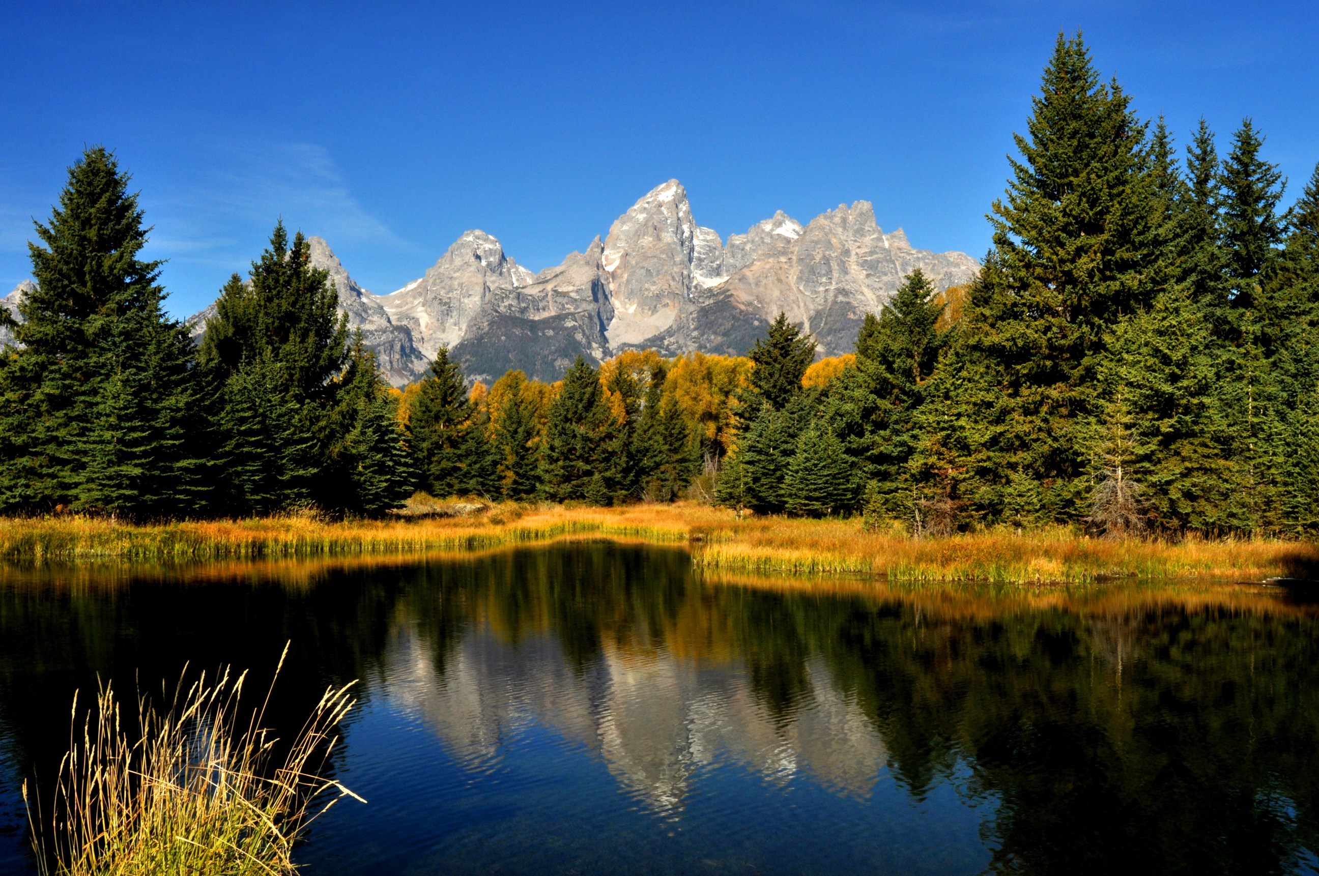 Included Entry into Grand Teton National Park