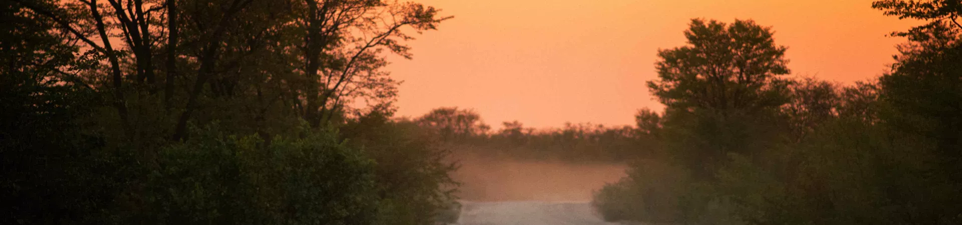 Delta Game Drive Lions South Africa