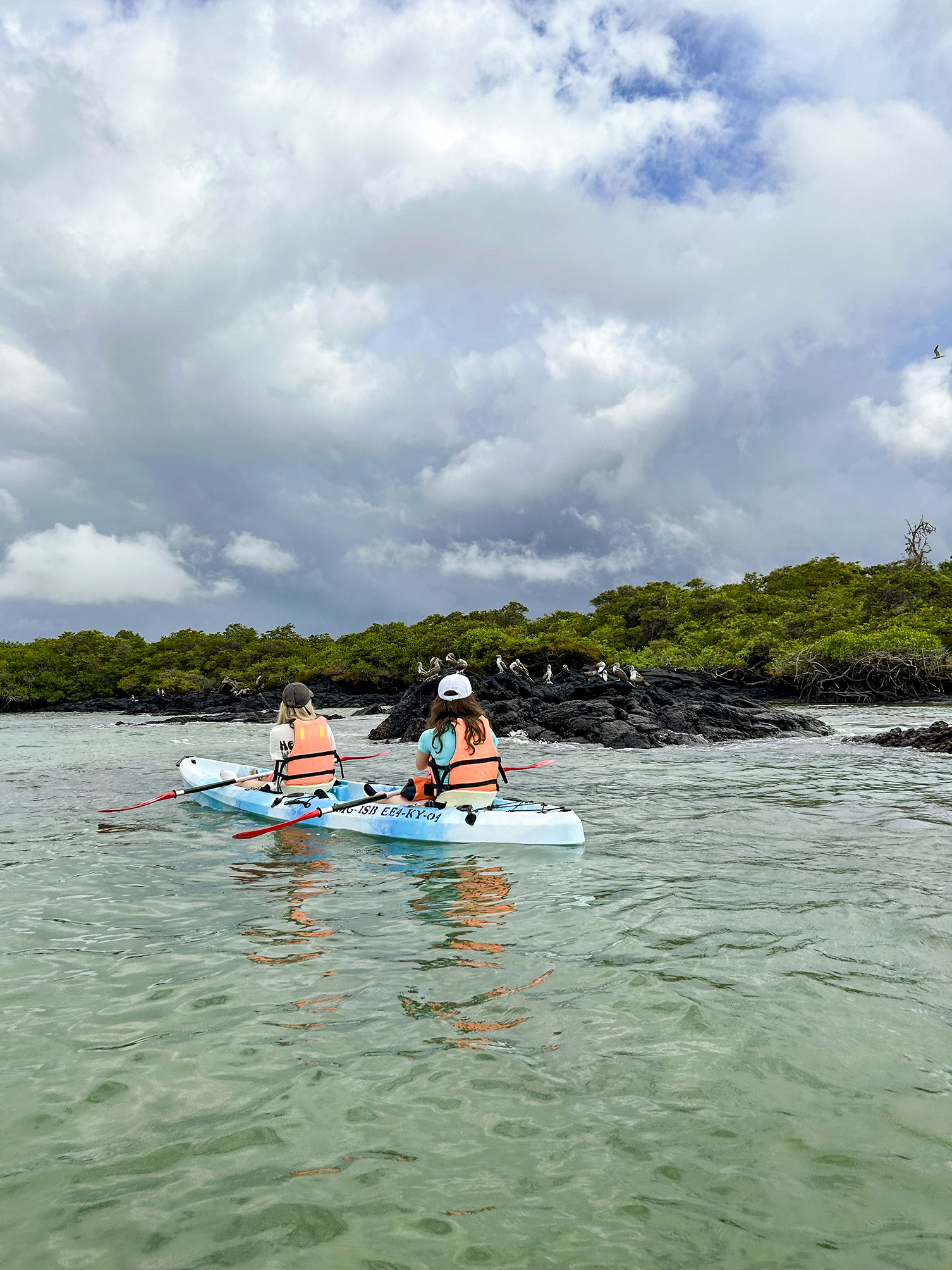 Kayak with local wildlife 