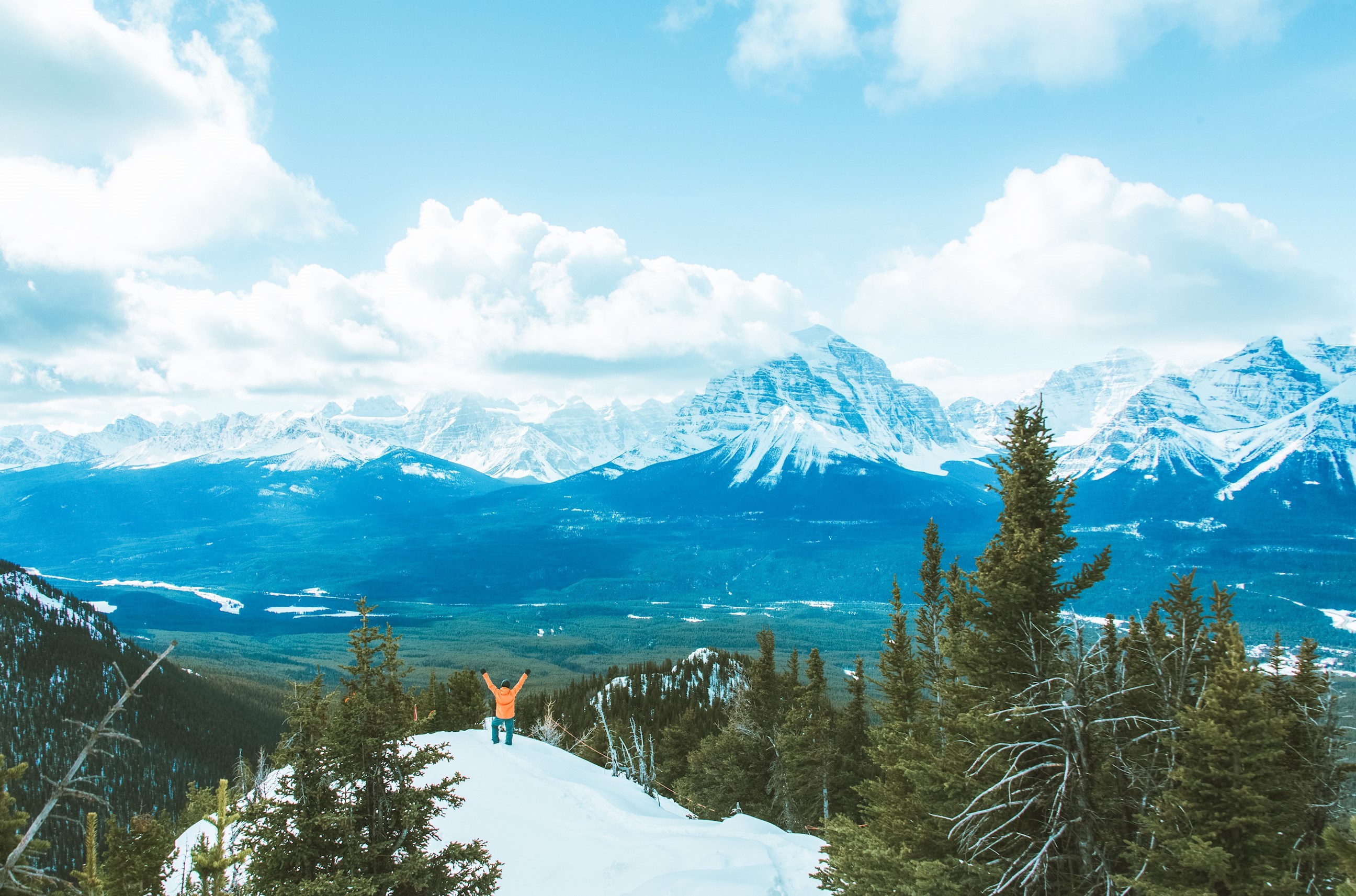 See the Whistler & Blackcomb Mountains
