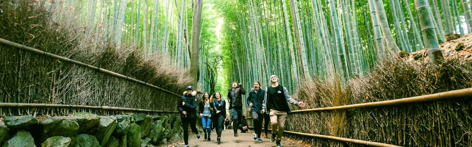Group Walking Through Forest In Japan