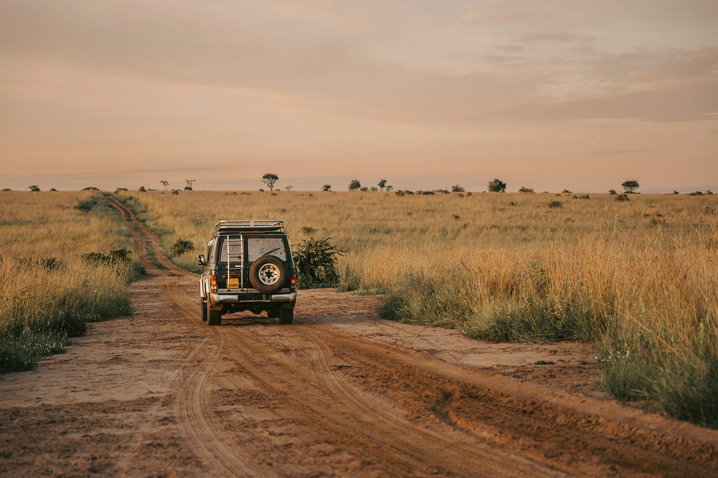 Murchison Falls Transit Game Drive 