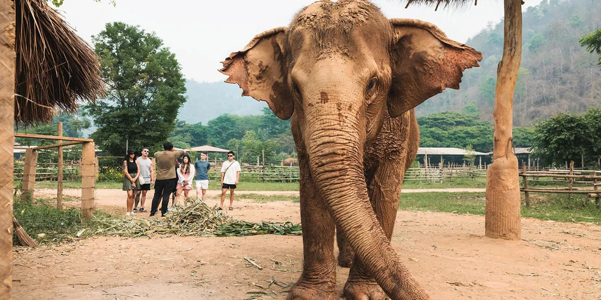 Bangkok to Luang Prabang Trip